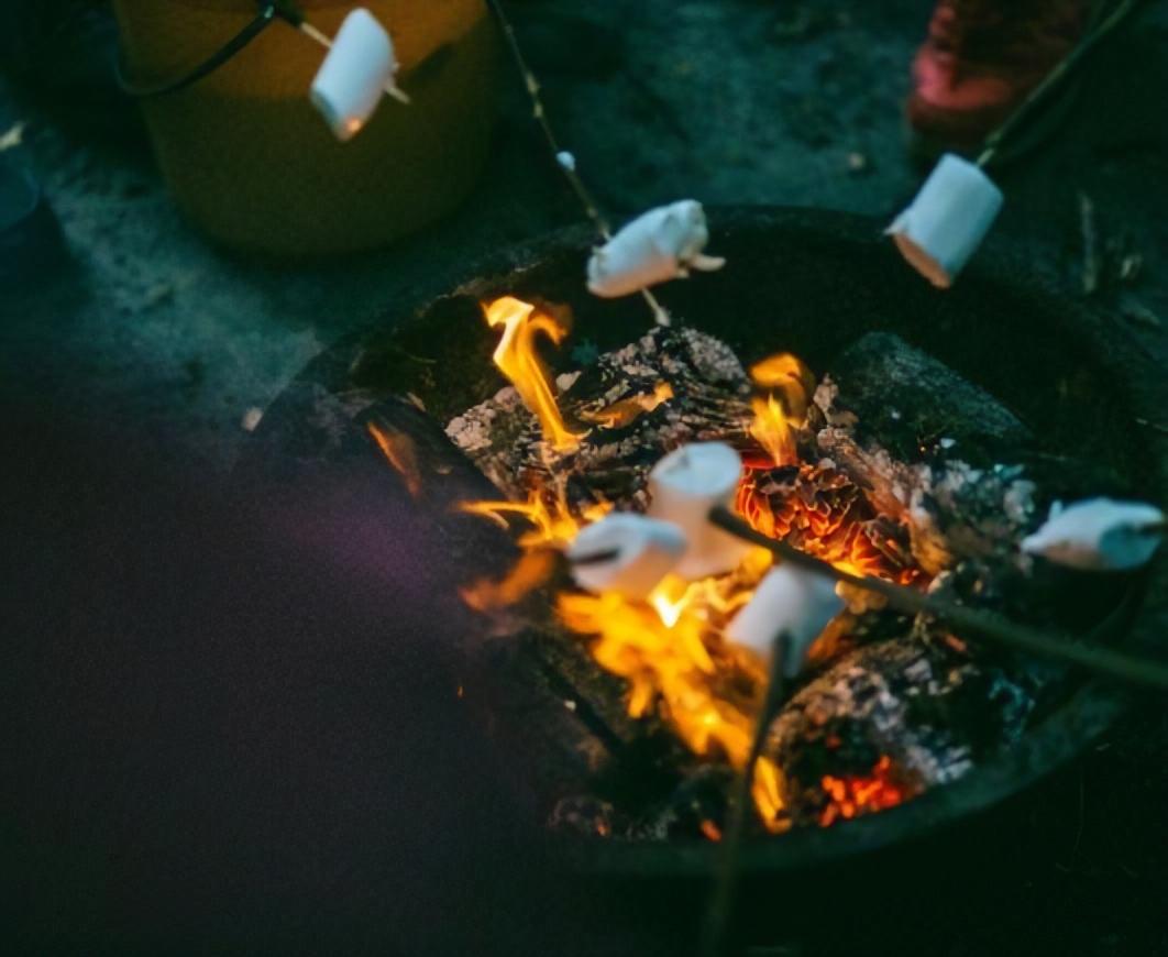 焚き火の写真